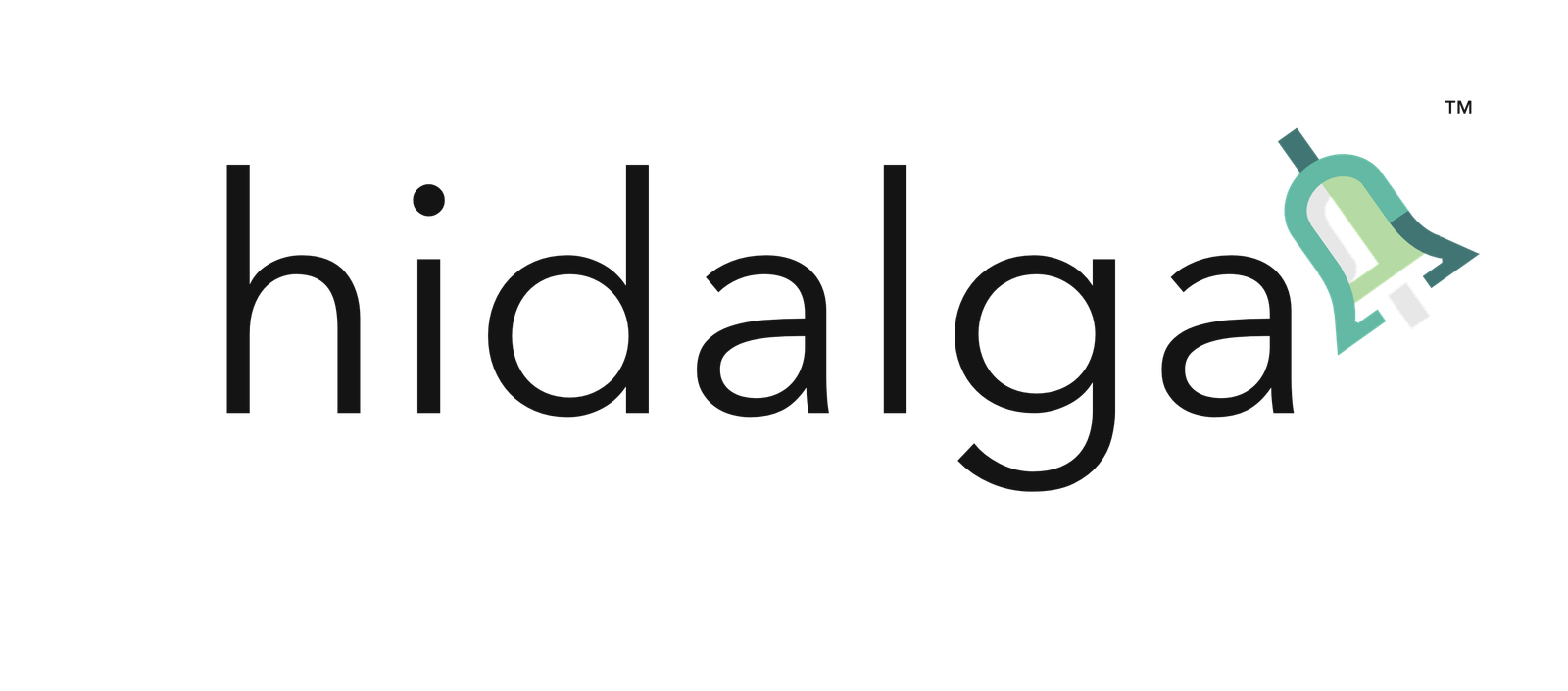 HIdalga_logo